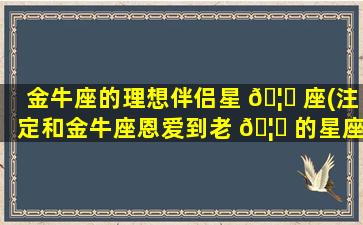 金牛座的理想伴侣星 🦆 座(注定和金牛座恩爱到老 🦅 的星座)